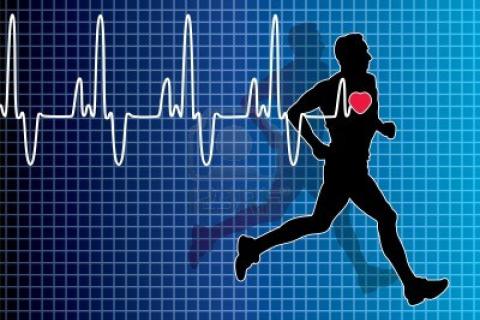 кардиолог Чебоксары, записаться к кардиологу в Чебоксарах, сердечные заболевания, заболевания сердца, болезни сердца, сердечно-сосудистая недостаточность